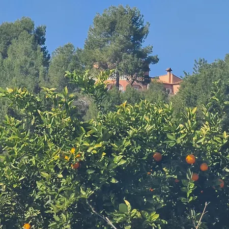 Chateau Angelique Country house Valencia