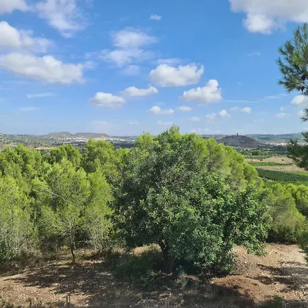 Chateau Angelique Летний дом