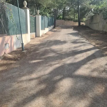 Chateau Angelique Летний дом Валенсия