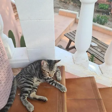 Chateau Angelique Валенсия