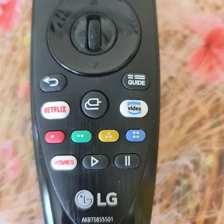 Chateau Angelique Летний дом *