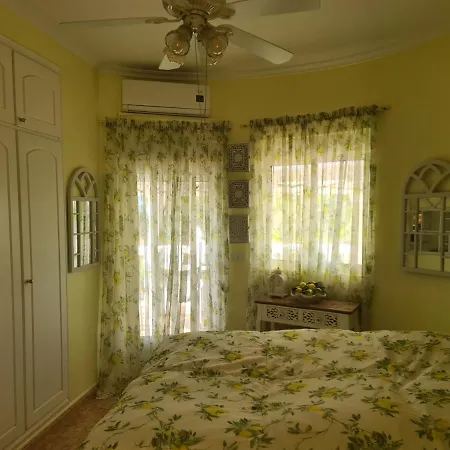 Chateau Angelique Летний дом Валенсия